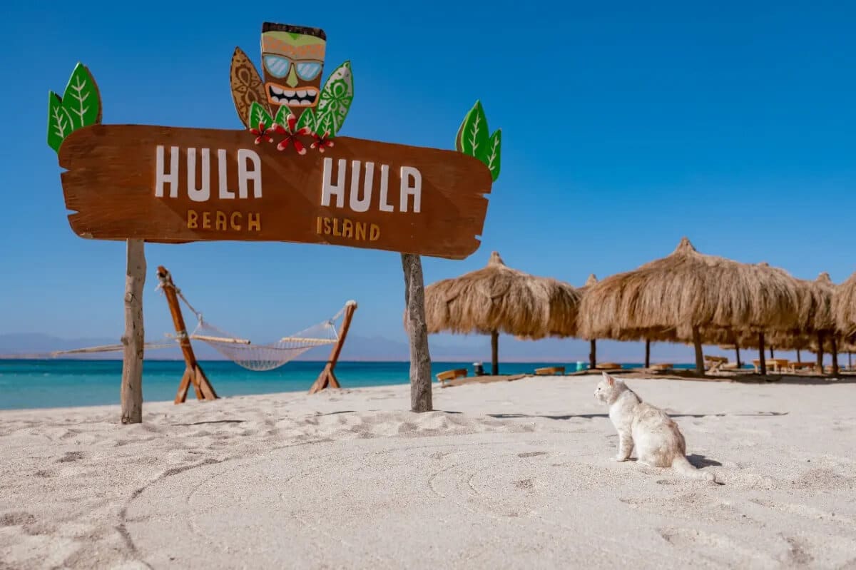 Hula Hula Island – Full-Day Snorkeling Trip from Hurghada