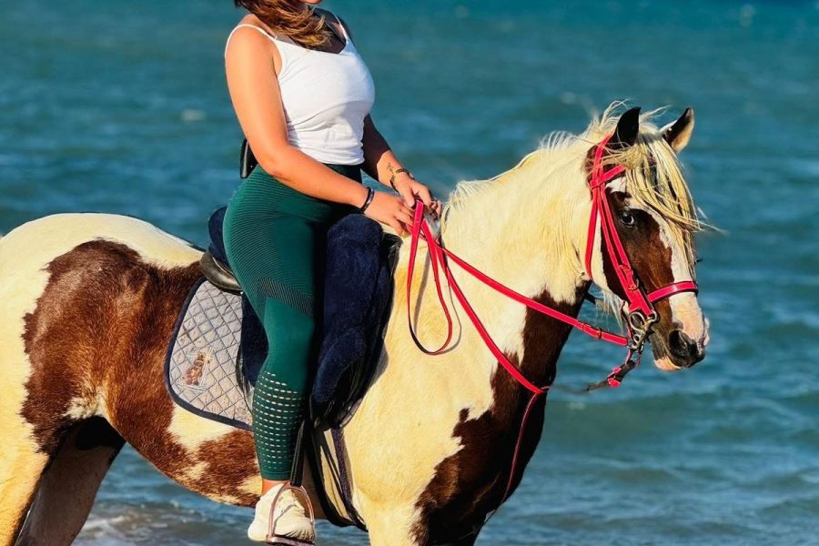 Discover Horse 🐴  Riding & Camel 🐫