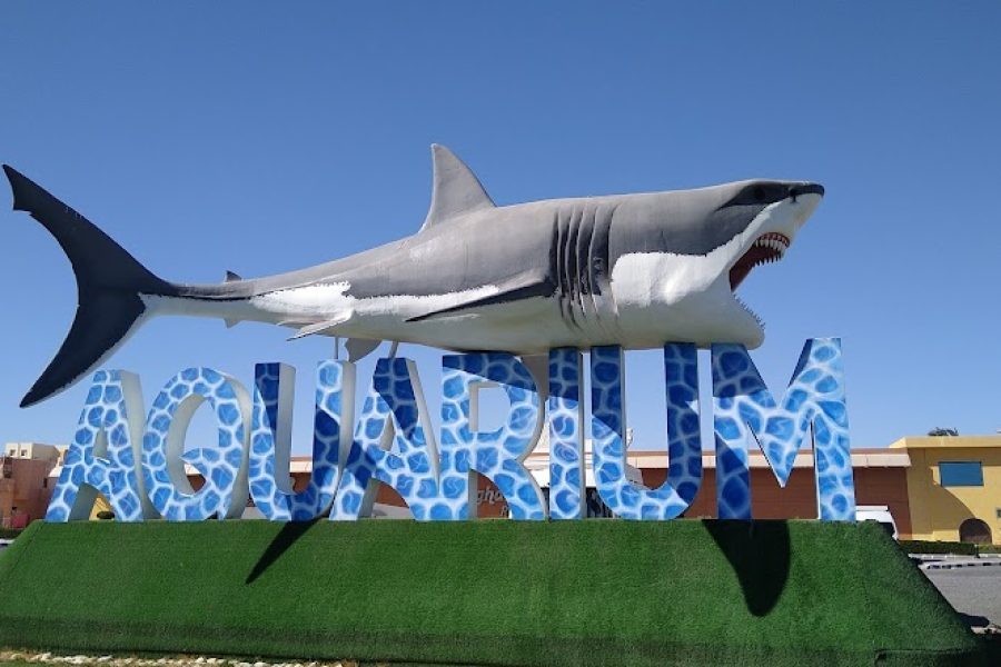 Grand Aquarium Hurgahda